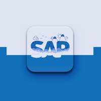 SAP Training Institute in Dilsukhnagar